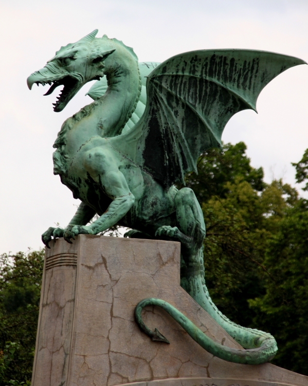 "Dragon" de David Eduardo Montemurri