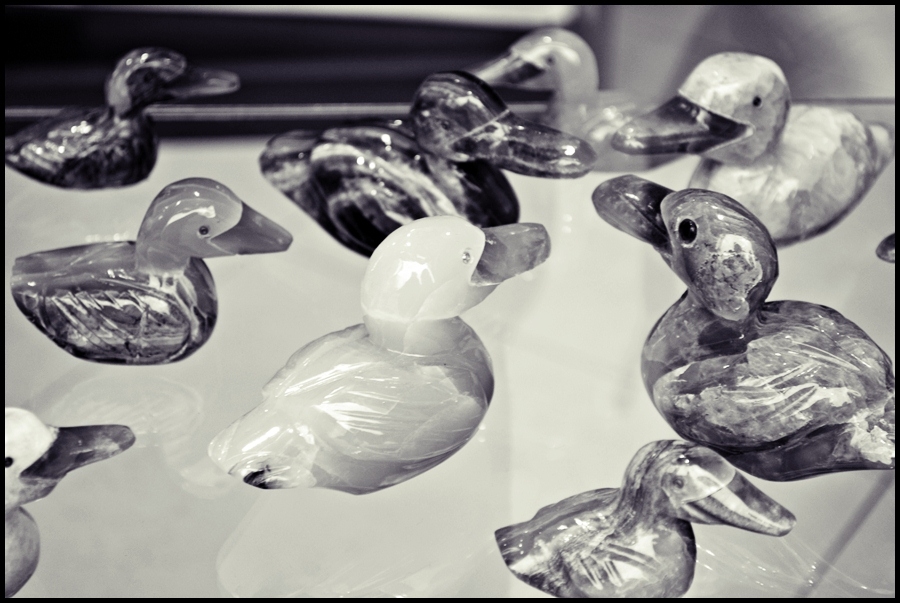 "Patos de marmol" de Andres Mancuso