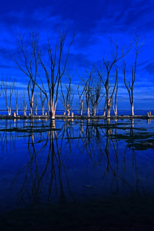 "Azul" de Claudio Reynoso