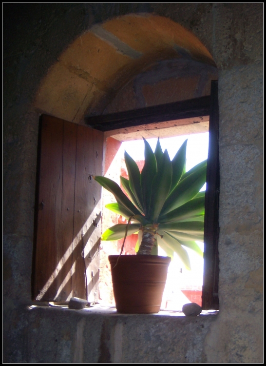 "Verde al sol" de Angel De Pascalis