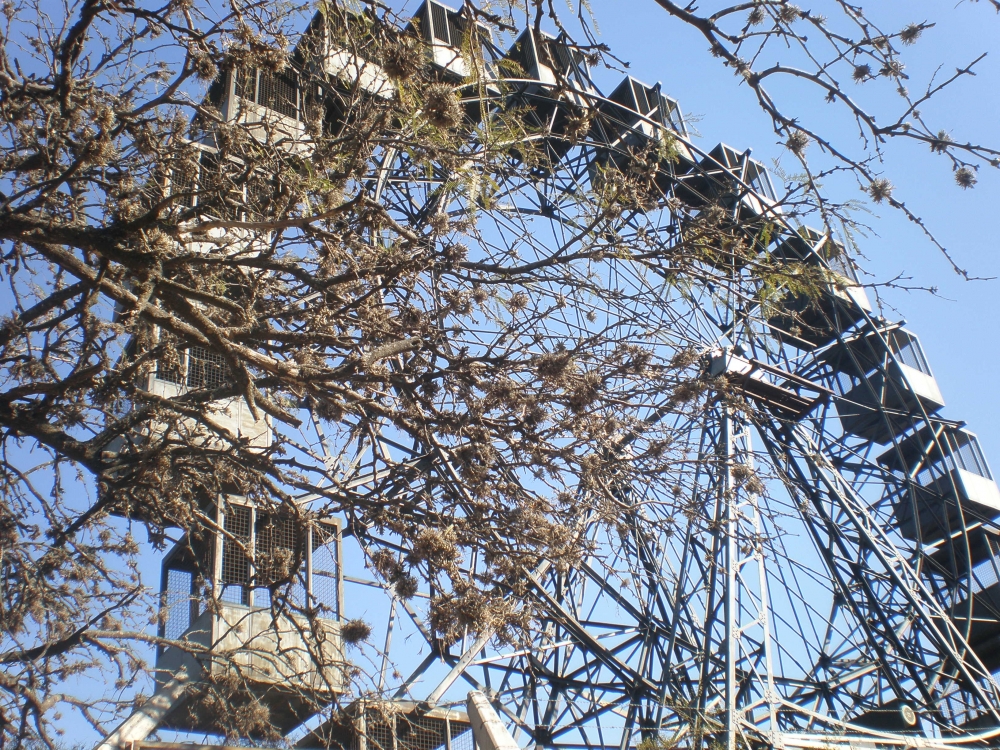 "Reencuentro con Eiffel en Crdoba" de Ren Olocco