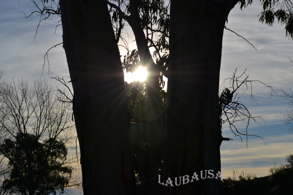 "Destellos de luz!!!" de Maria Laura Bausa