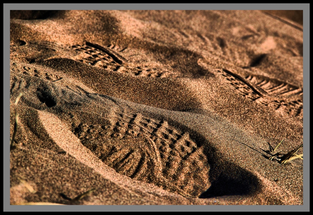 "TEXTURAS DESERTICAS!!!" de Maria Eugenia Cailly (euge)