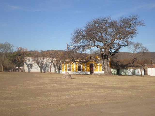 "El viejo algarrobo" de Ren Olocco