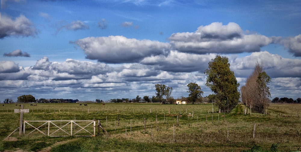 "De campo" de Hugo Lorenzo