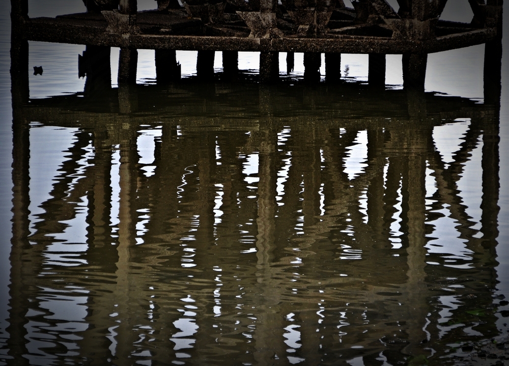 "Reflejos" de Sylvia Sabatini