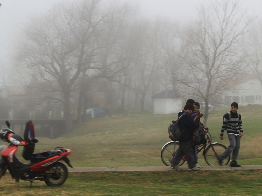 "Dia de niebla en el parque." de Roberto Velazquez