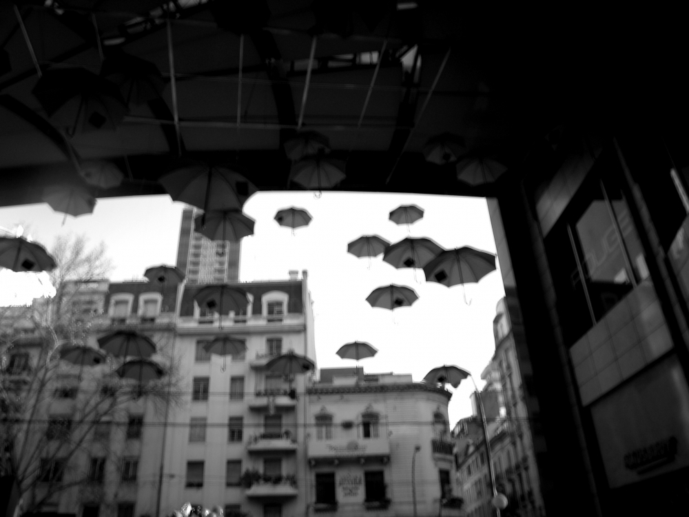 "paraguas" de Gianni Franco Papini Jr.