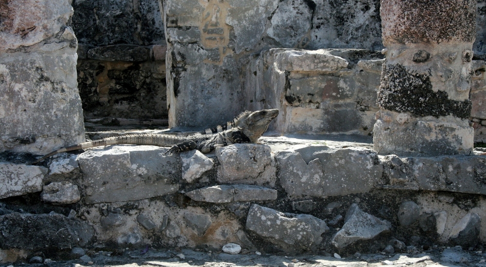 "Los guardianes de Tulum" de Titi Noseda