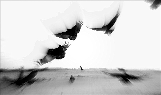 "A volar" de Valeria Montrfano