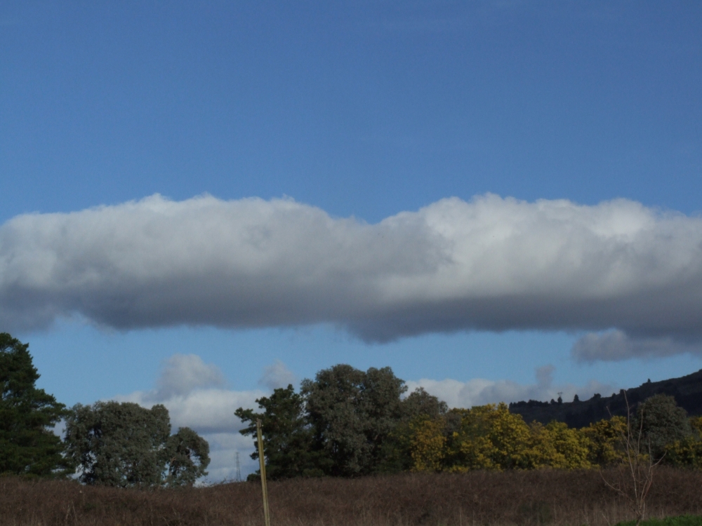 "Que nube!!!!!" de Ferreyra. Claudia