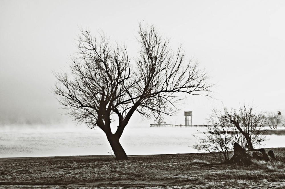 "Amaneci con niebla" de Ricardo H. Molinelli
