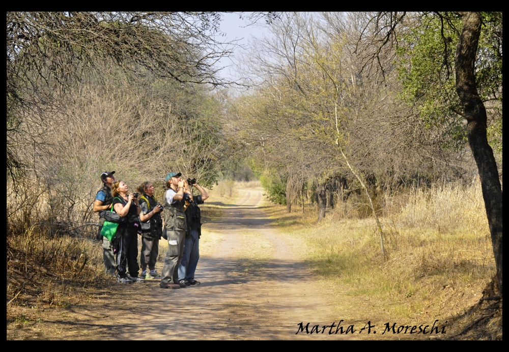 "Los avistadores" de Martha A. Moreschi