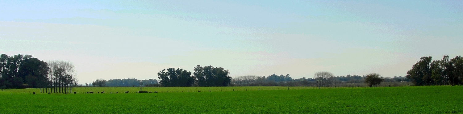 "Todocampo" de Daniel Gil Feilberg