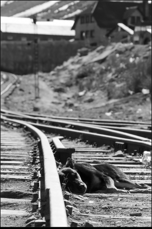 "Siesta" de Joaquin Martinez