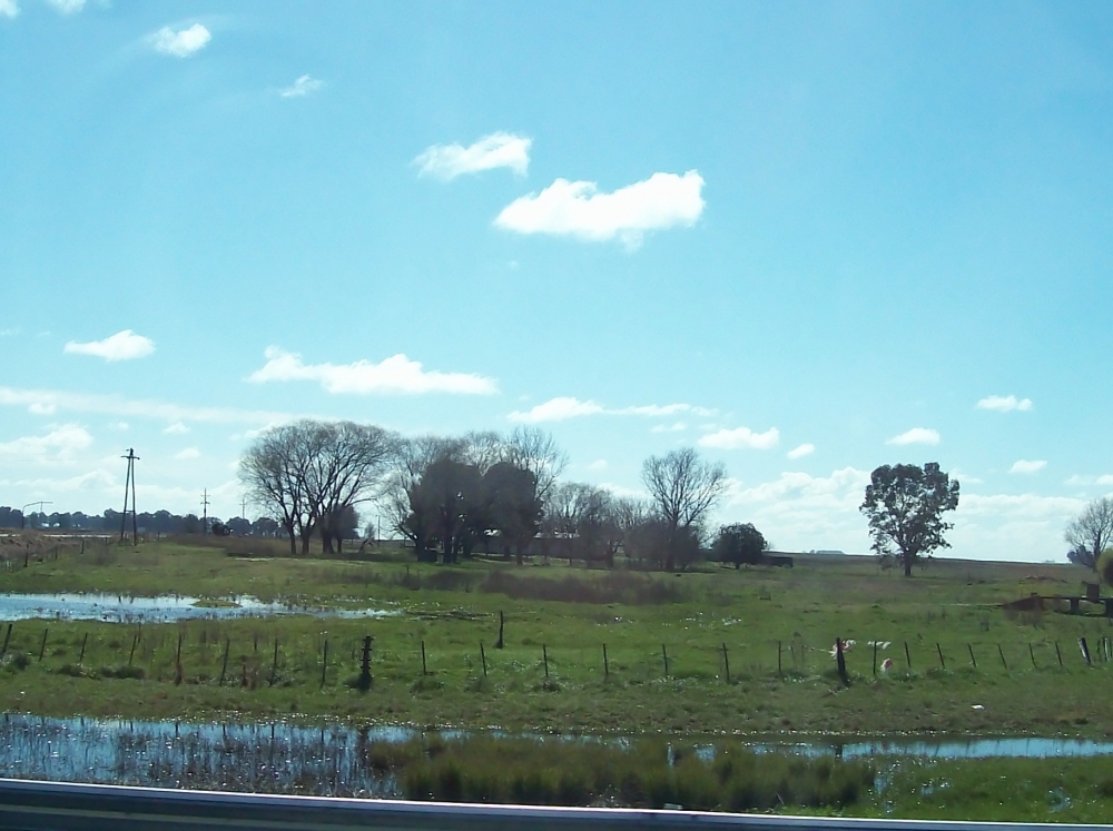 "desde la carretera" de Nora Noemi Bonnot