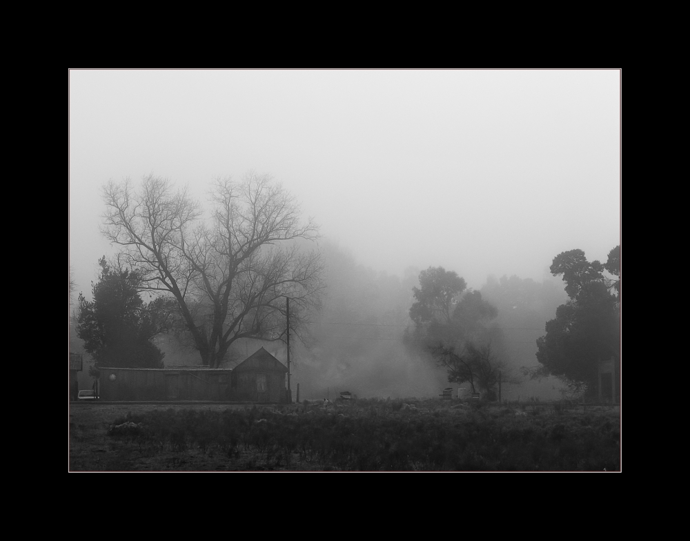 "Niebla en la maana" de Damian Alvarez