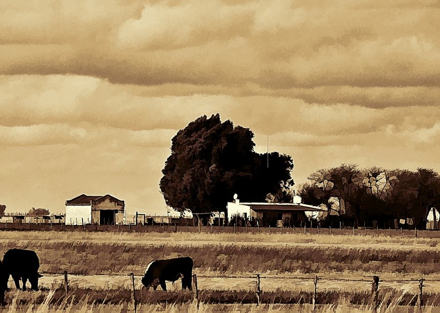 "En La Estancia" de Cristian Mauro Arias