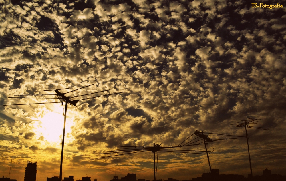 "Mis cielos" de Guillermo Toso Stolbizer