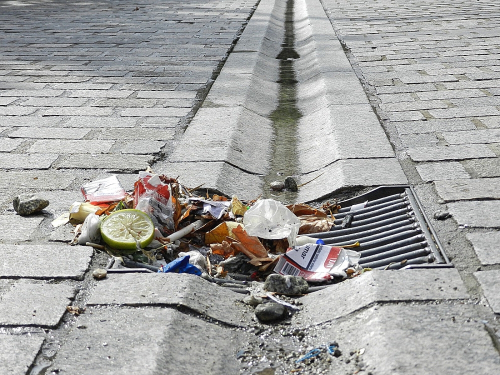 "basura en la alcantarilla" de Rosa Mara Olivn