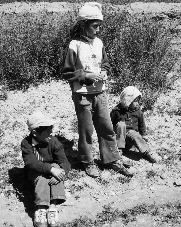 "crecer en el cerro, en las mrgenes" de Viviana Garca