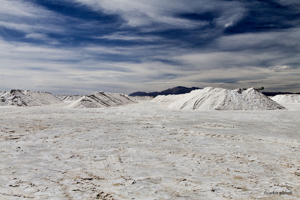 "Salinas grandes" de Carlos Gianoli