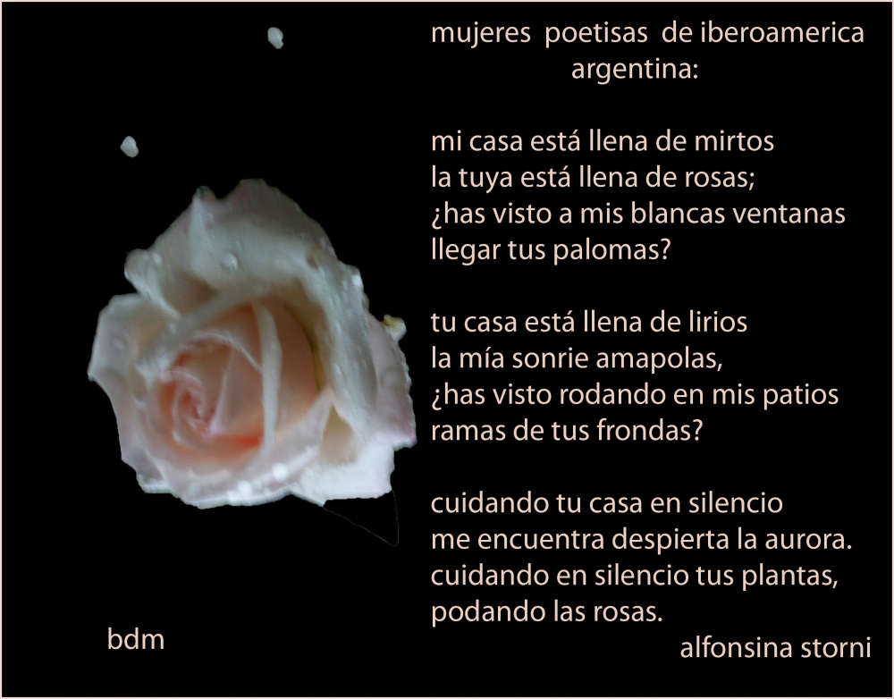"poesa iberoamericana" de Beatriz Di Marzio
