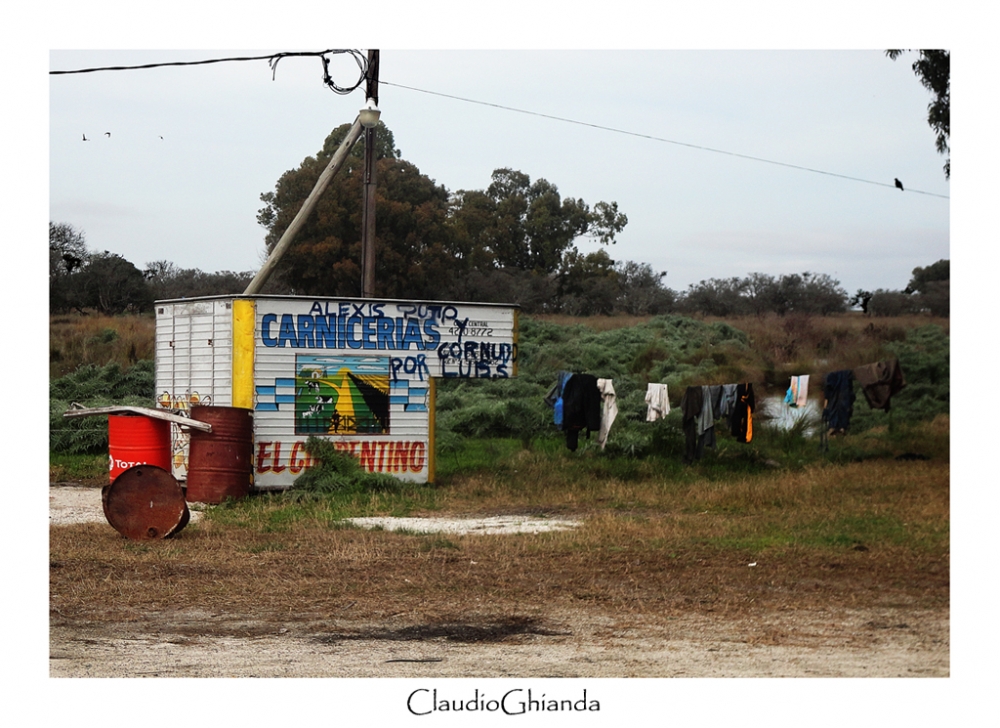 "Vivienda y paloma" de Claudio Ghianda