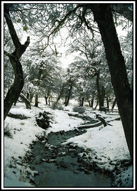 "Paraje invernal" de Jorge Vicente Molinari