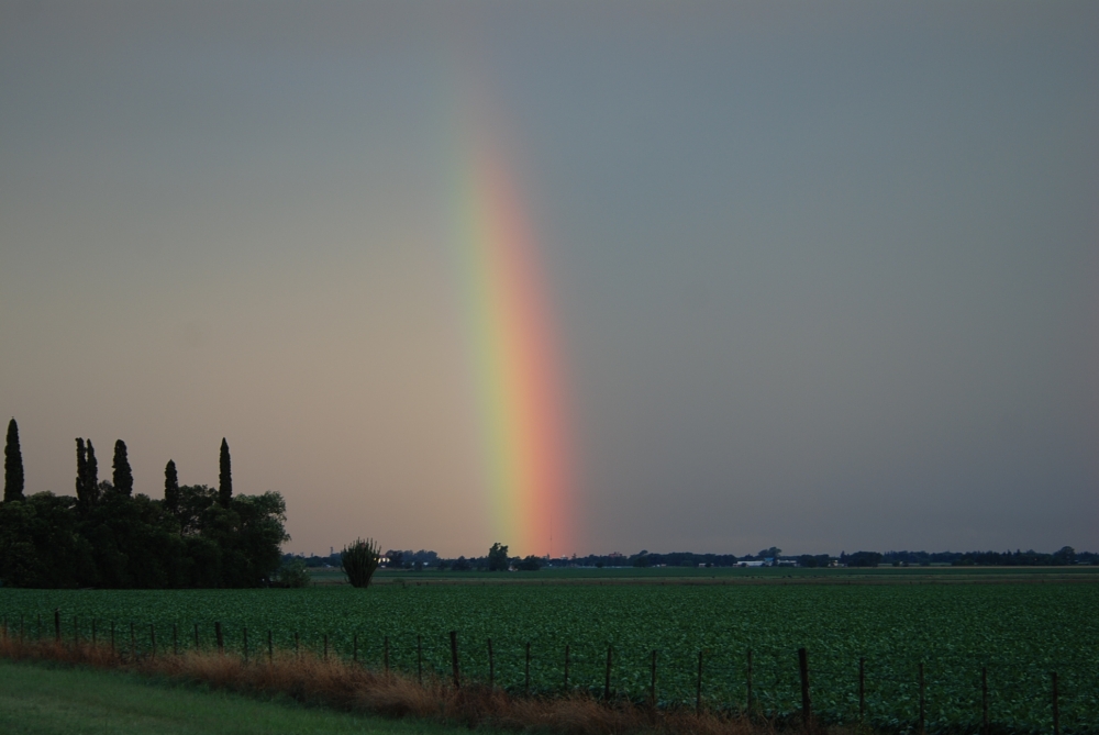 "Arco Iris" de Daniel Polizzi Kegailj