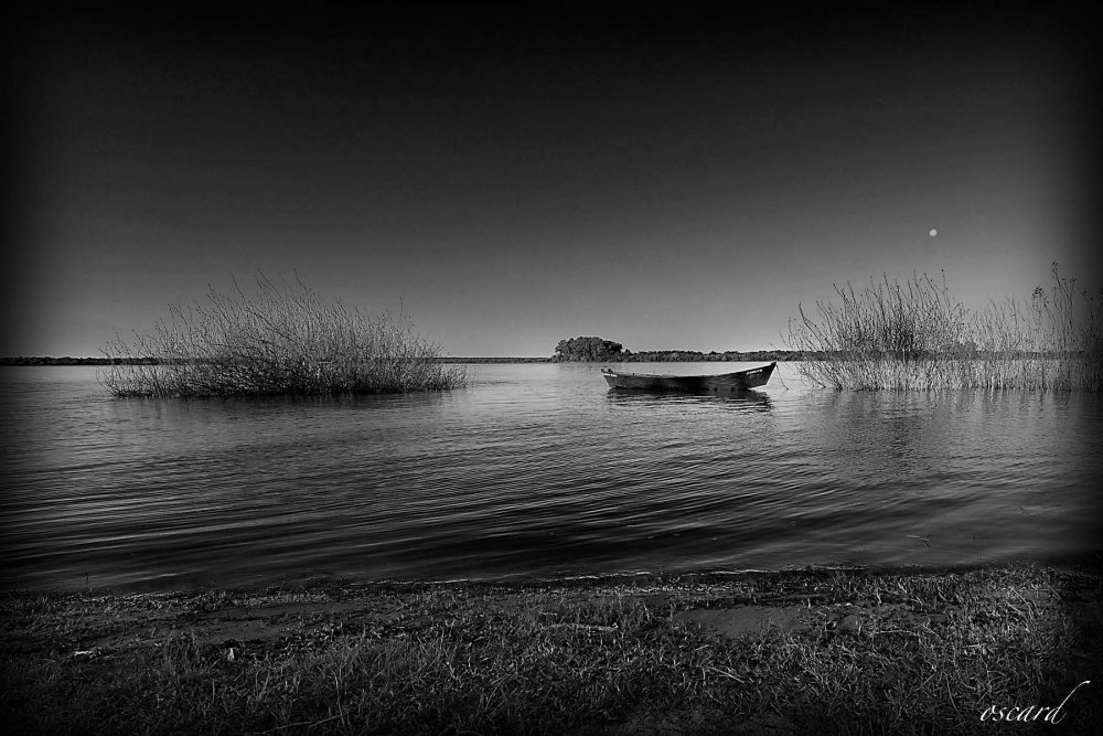 "Remanso en la ribera" de Oscar Roberto Domnguez