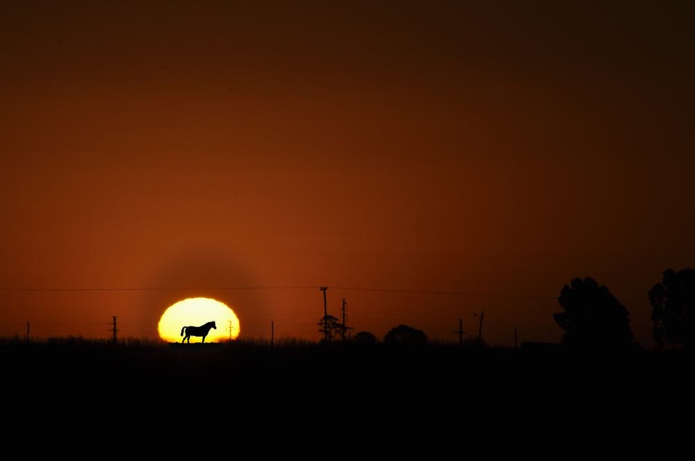 "Atardecer Dibujado" de Cristian Mauro Arias