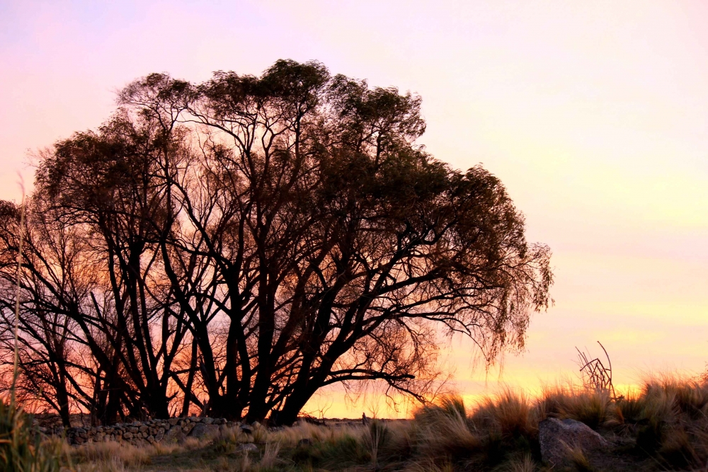 "Atardecer" de Sebastin Navarro Lehoux