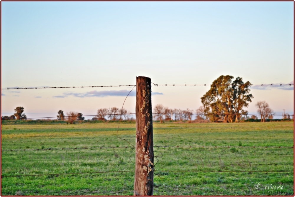 "Atardecer en el campo..." de Maria Laura Bausa