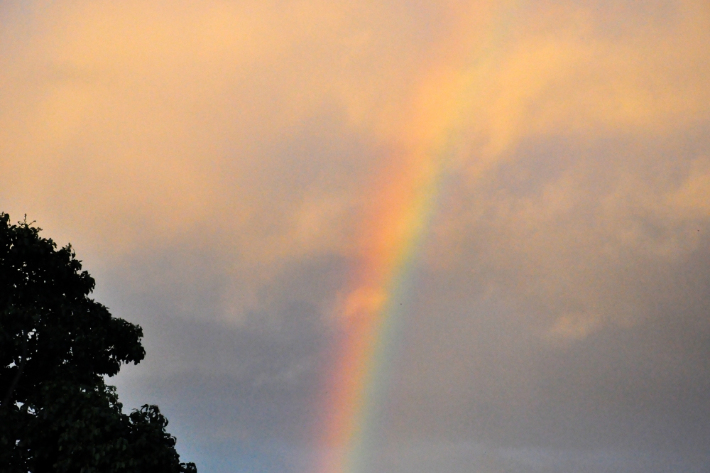 "Arco Iris" de Beatriz Franchini