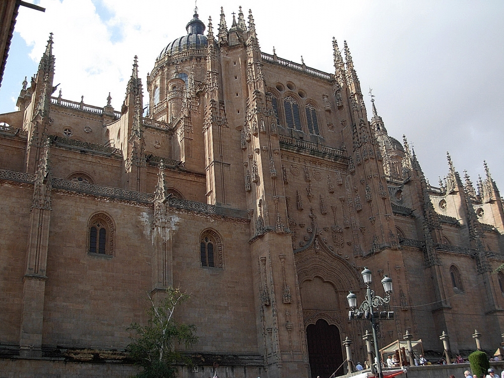 "La catedral" de Carlos Maximo Suarez