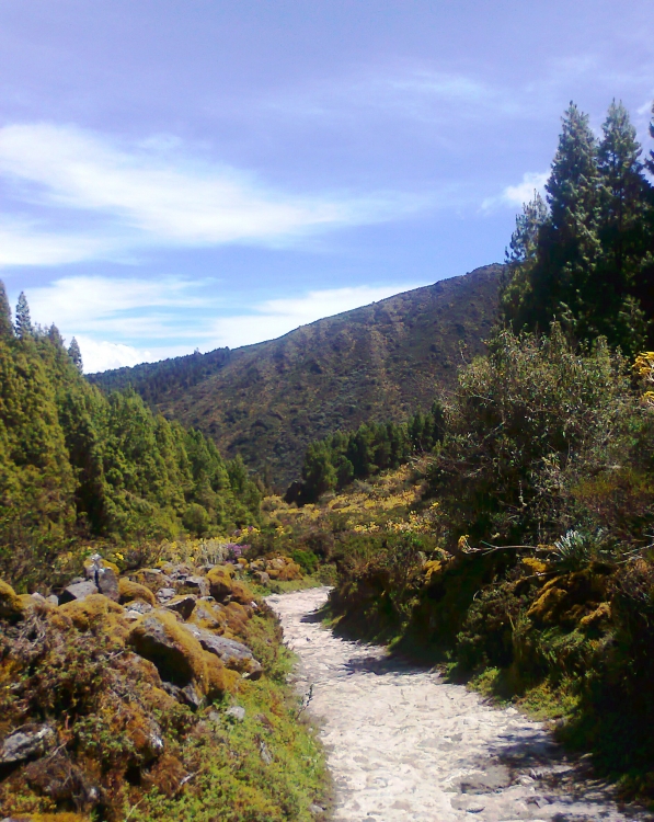 "Camino al cielo." de Piero Francesa