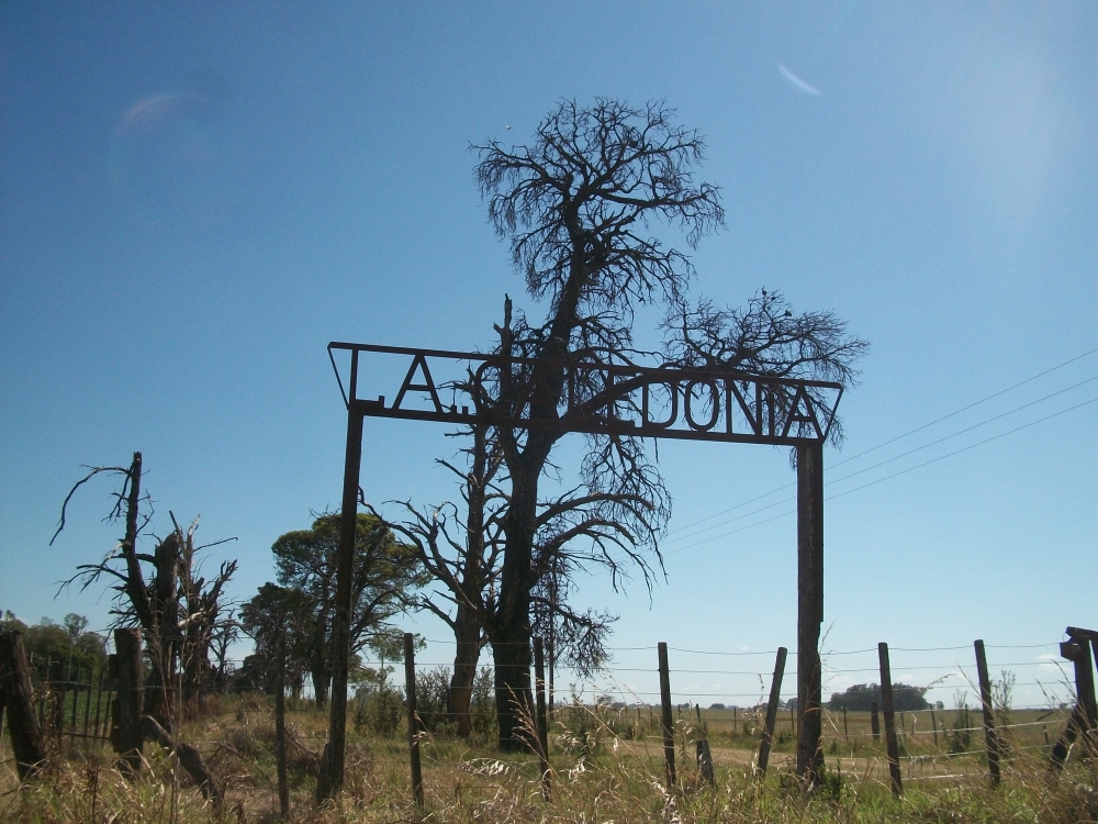 "LA CALEDONIA" de Roberto Kotata Muoz