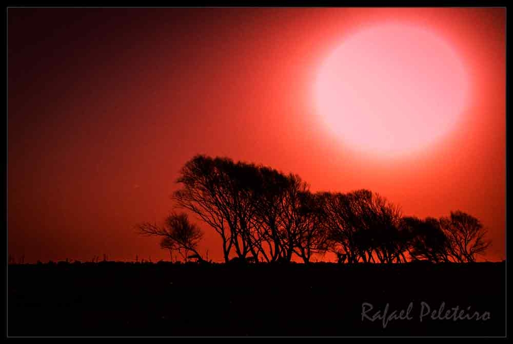 "Atardeceres rojos" de Rafael Peleteiro