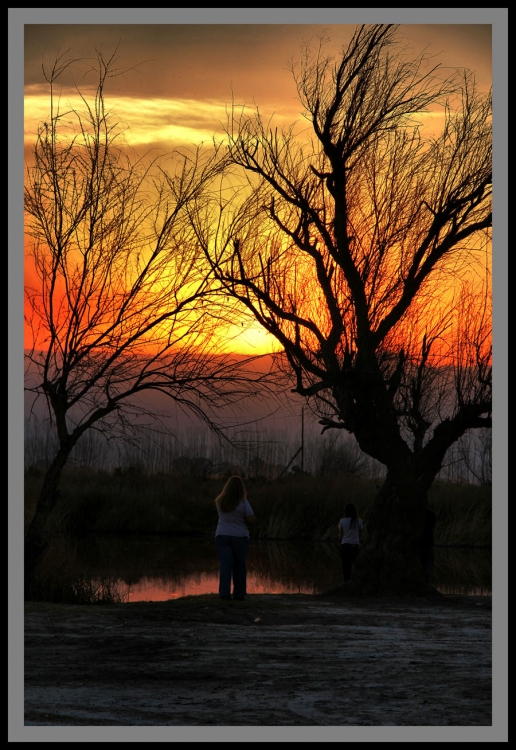 "CAPTURANDO ESE CIELO!!!" de Maria Eugenia Cailly (euge)