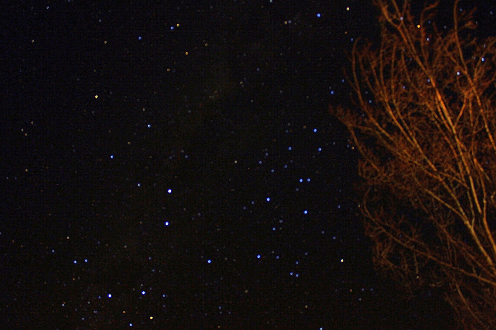 "Disparando a las estrellas" de Sebastin Navarro Lehoux