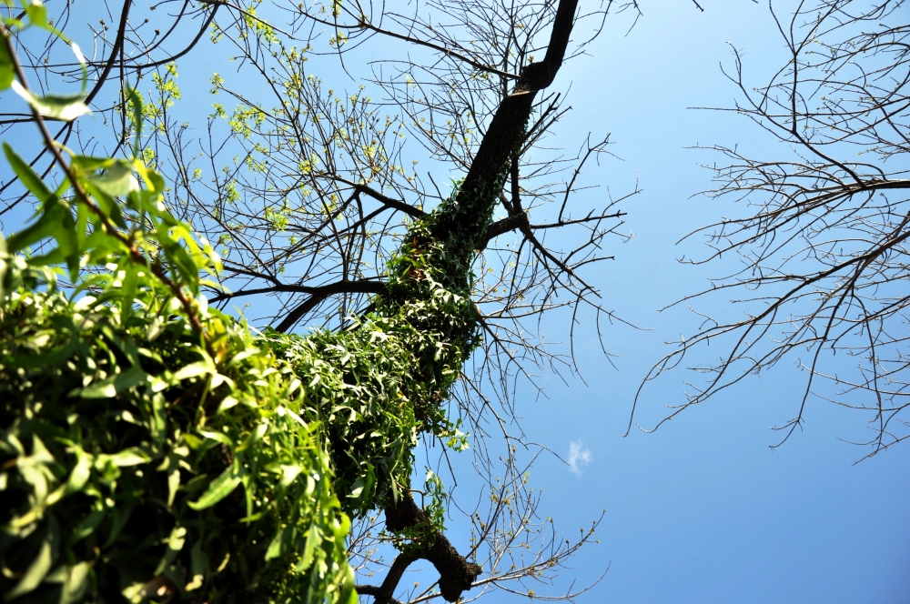 "Cerca del cielo!!" de Monica Casso