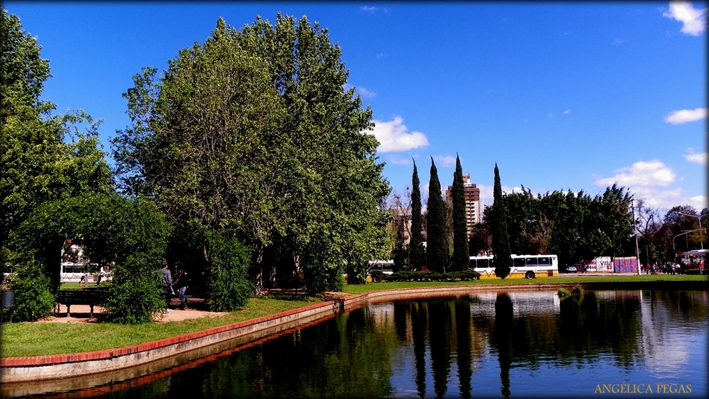 "REFLEJOS EN LAGO DE LA PLAZA.." de Anglica Pegas