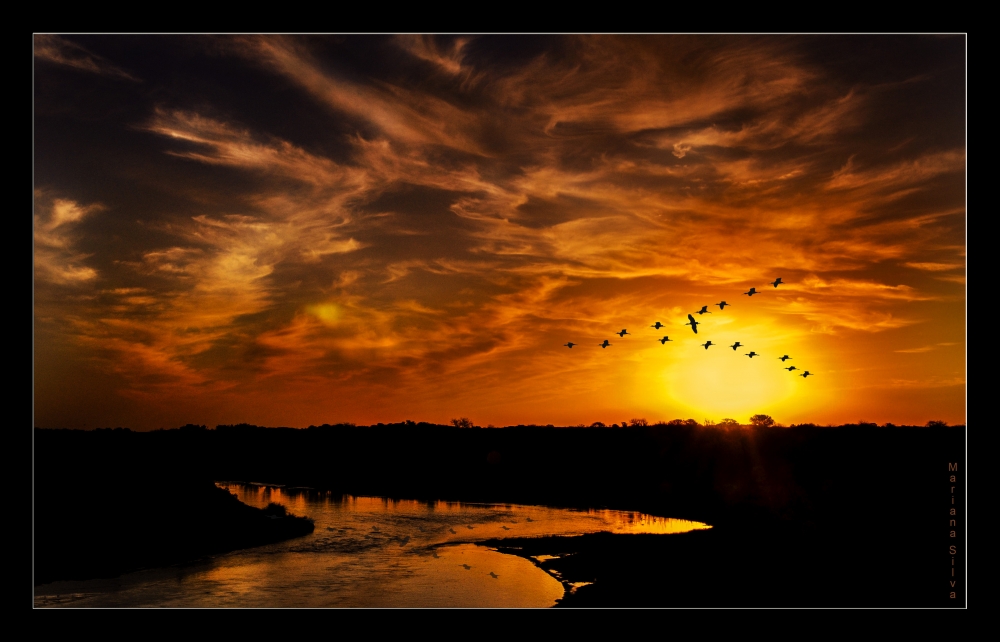 "Atardecer en la ruta" de Mariana Silva