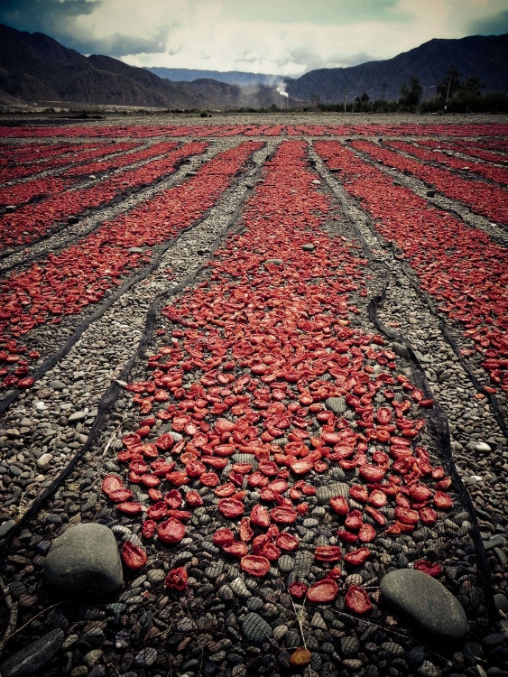 "Secando tomates" de Valeria Yevara