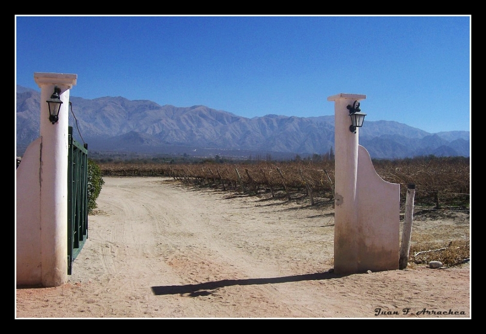 "las puertas del viedo" de Juan Francisco Arrachea