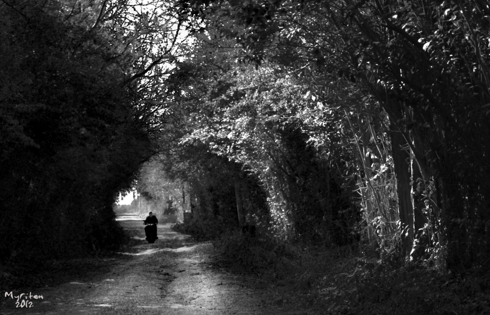 "El tunel" de Myriam Pedernera