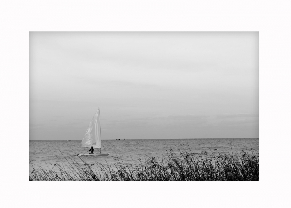 "Con el viento del destino" de Marcelo Belletti