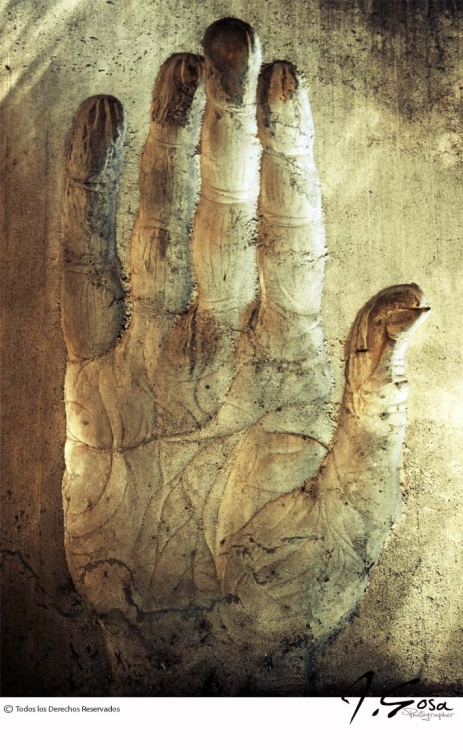 "Hand" de Jos Lorenzo Sosa lvarez