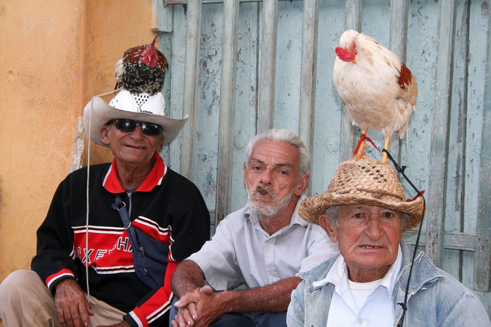 "3 jubilados cubanos se ganan 1 peso con 2 gallos." de Titi Noseda